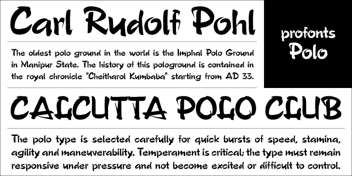 Polo Regular Font preview